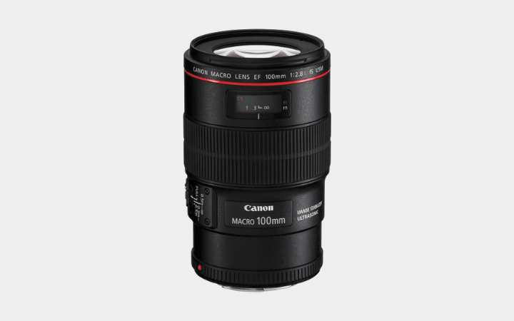 Canon 100 mm Macro F2.8 IS