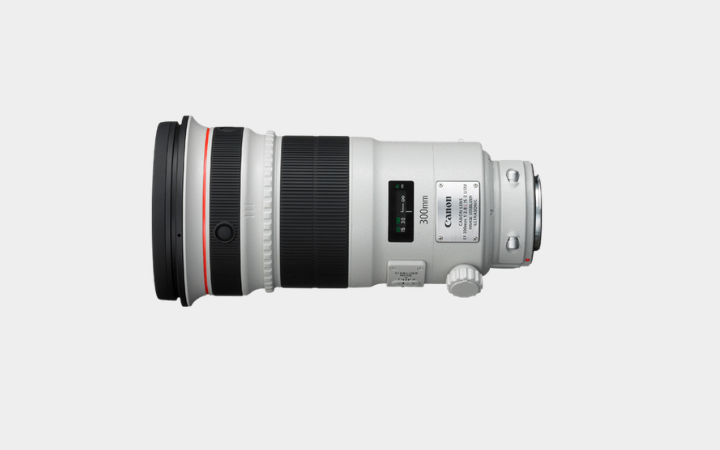 Canon EF 300mm f2.8 IS USM