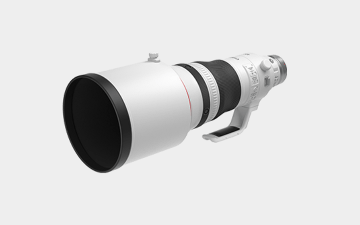 Canon EF 400mm F2.8 IS USM