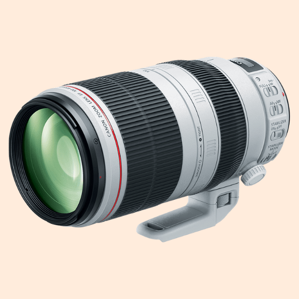 Canon 100-400 F4.5 - 5.6 IS -II