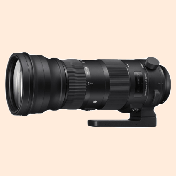 Sigma 150-600mm F/5-6.3 DG OS HSM(C) for Nikon mount